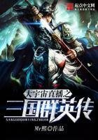 《大宇宙直播之三国群英传》