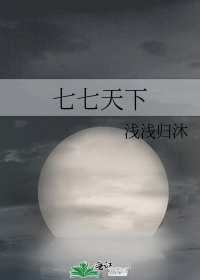 七七天下