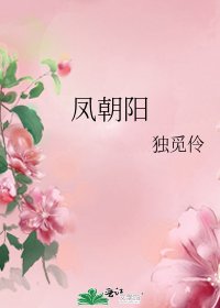 鳳朝陽